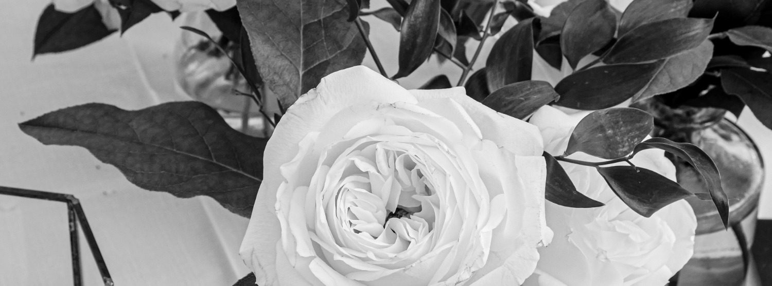 Weiße Rose in stilvoller Hochzeitsdekoration – Detailaufnahme bei einer Hochzeit auf Mallorca Finca Ses Voltes

